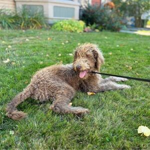 Meet your Posher, Olivia